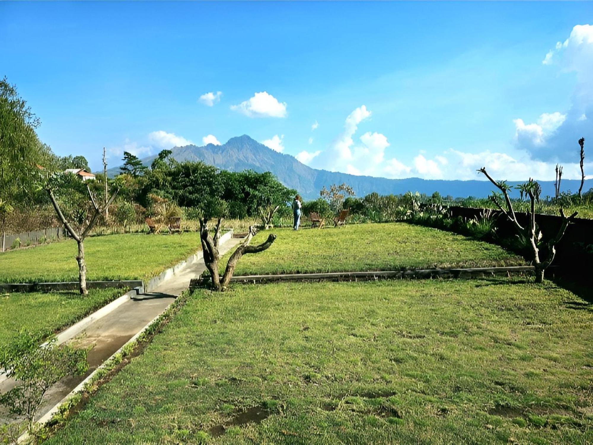 Bed and Breakfast Hillside Bali Kubupenlokan Екстер'єр фото